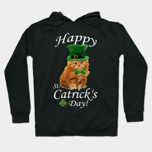 St. Patrick's Day Irish Ginger Cat With A Hat And Bow Tie Hoodie